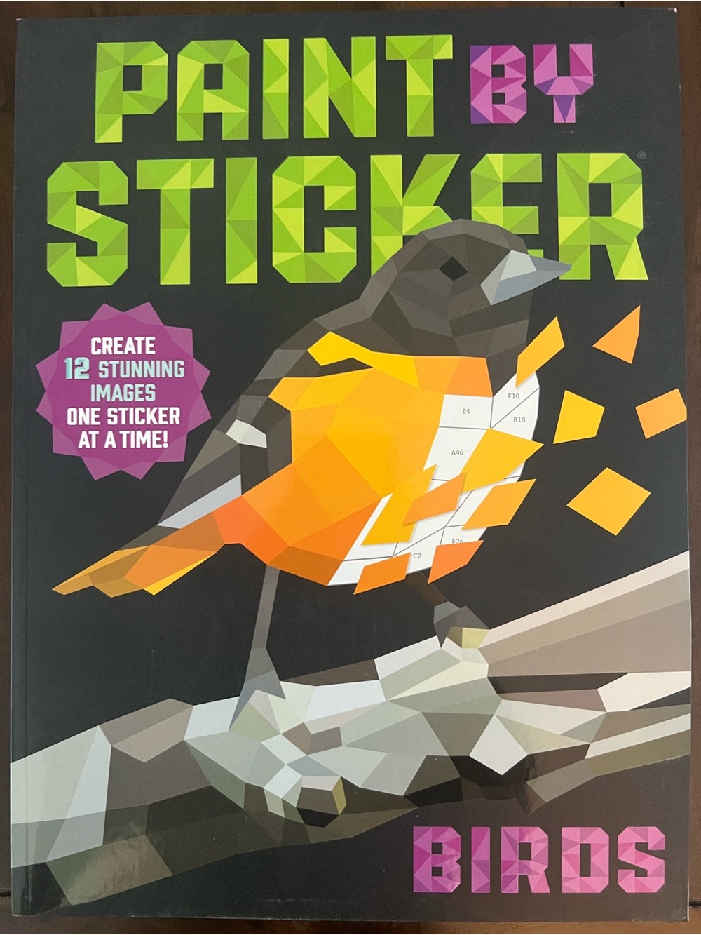 Paint by Sticker Birds Activity Book - Orange & Black. Brand New.